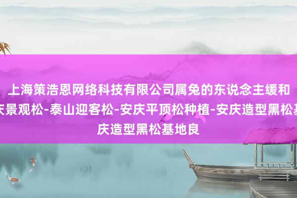 上海策浩恩网络科技有限公司属兔的东说念主缓和善安庆景观松-泰山迎客松-安庆平顶松种植-安庆造型黑松基地良